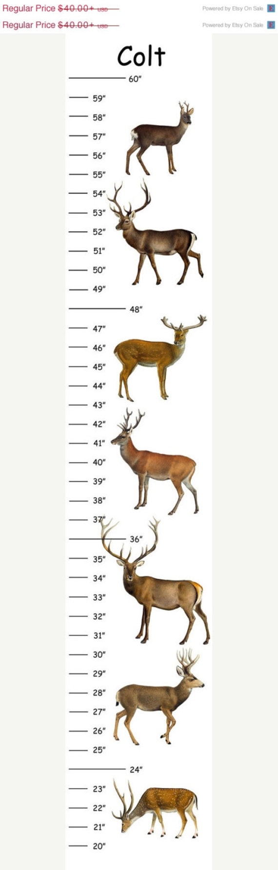 Deer Size Chart