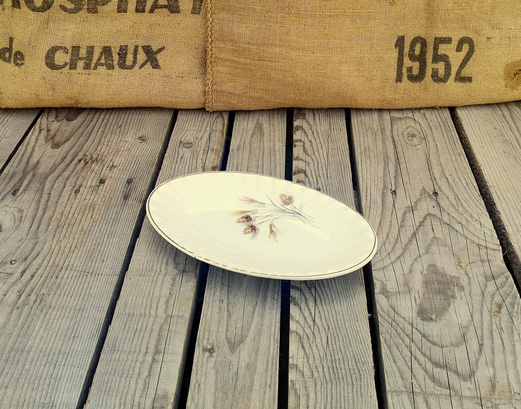 Petit Plat Ovale en Faience de Sarreguemines Collection Galion