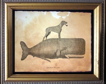 Vizsla Dog Riding Whale – Vintage Style Collage Art Print on Tea-Stained Cotton Rag Paper | Dog Lover Wall Art
