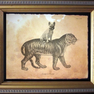 French Bulldog Riding Tiger Vintage Collage Print Tea Stained Paper dog art dog gift for her WFH art home office gift for gift