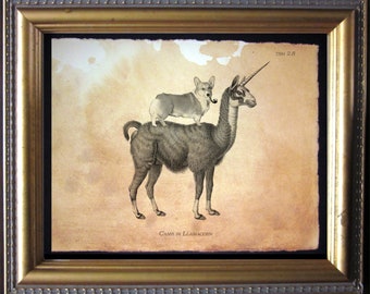 Corgi on Llamacorn Print, Whimsical Tea-Stained Dog Art (Print Only)