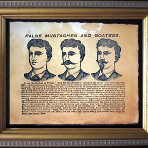 False Mustaches and Goatees Advertisement Ad Moustache Beard Art Print  on Tea Stained Paper dog art  dog s   WFH office art