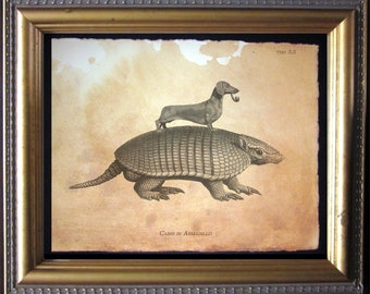 Dachshund Riding Armadillo Art Print, Antique Style Dog Wall Art