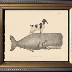 Springer Spaniel Dog Riding Whale Collage Print Creme Paper dog art gift for dog christmas gift rainbow bridge gifts for dog dad for dog mom