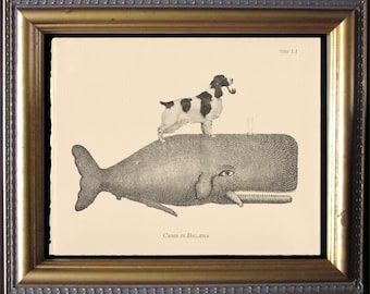 Springer Spaniel Dog Riding Whale – Vintage Cream Cotton Rag Paper Collage Art Print | Whimsical Dog Wall Art