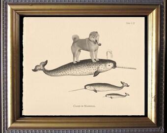 Shiba Inu Riding Narwhal Art Print, Whimsical Dog Wall Art