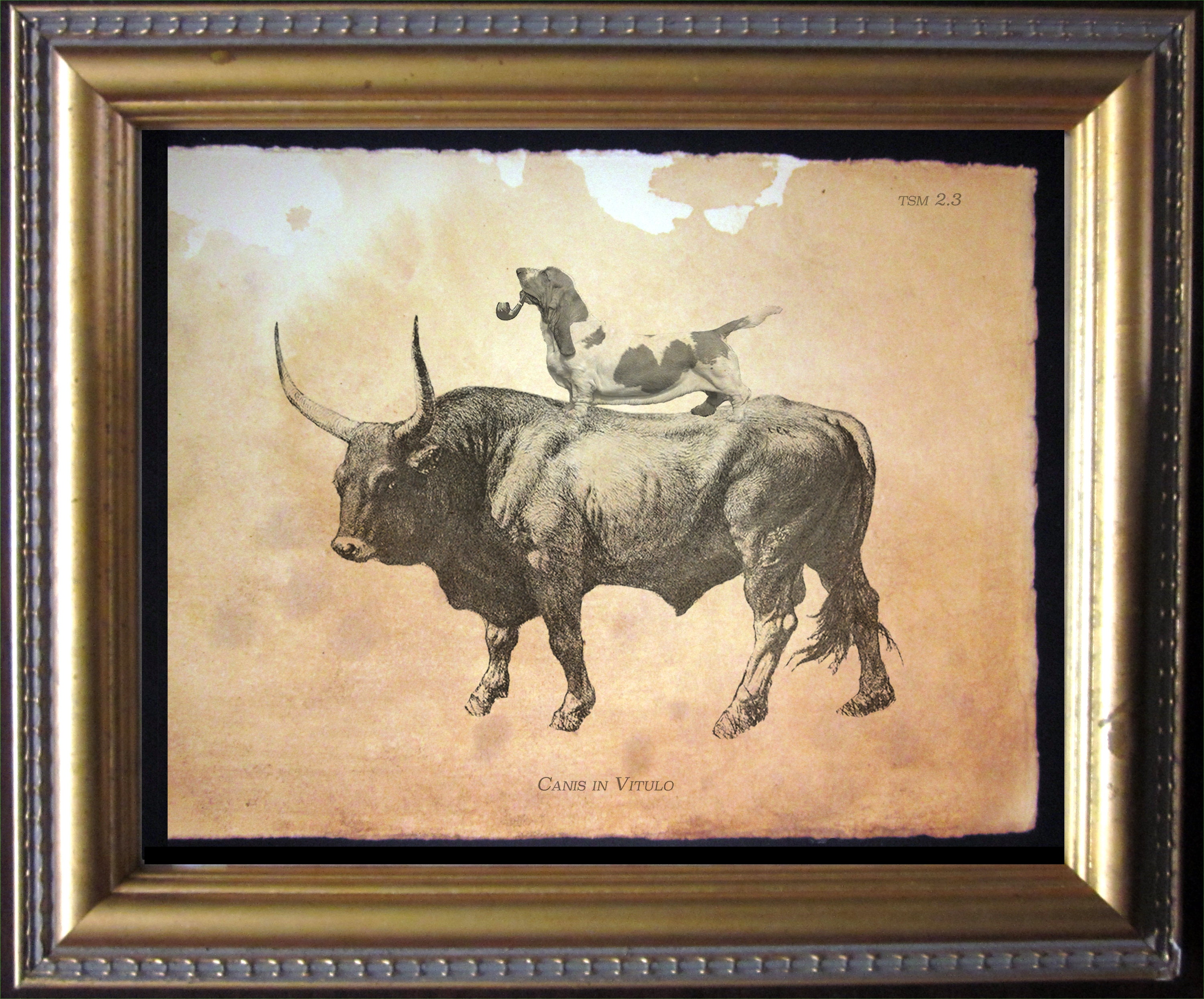 Brown Red Basset Hound Dog Riding Bull Vintage Collage Print Tea Stain ...