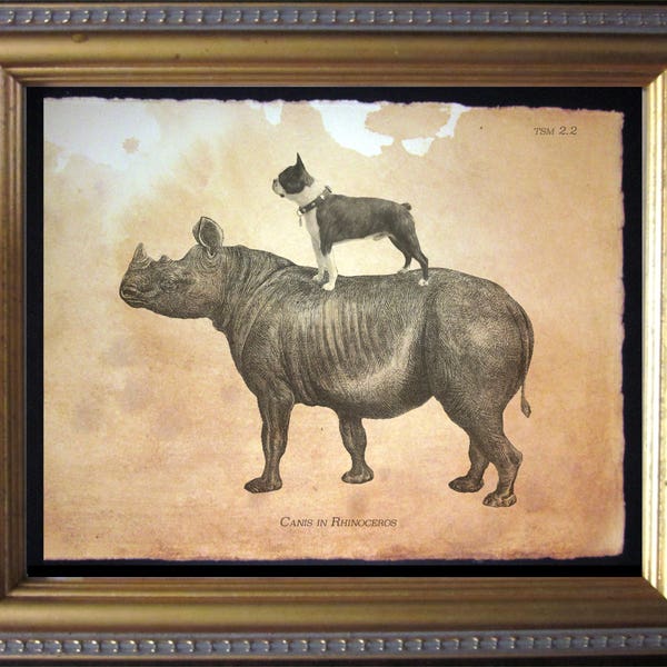 Boston Terrier Dog Riding Rhinoceros Vintage Collage Art Print on Tea Stained Paper dog art dog    for her xmas  for momdog christmas gift