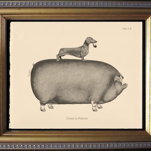 Dachshund Riding Pig Vintage Collage Print dog art gifts for christmas gifts for dog lovers gifts for boyfriends whale gifts for dog loss