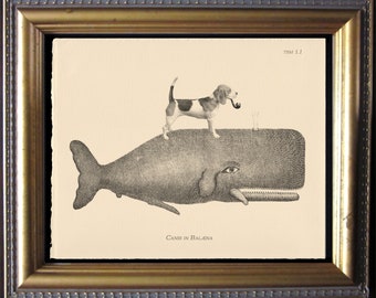 Beagle Riding Whale Vintage Collage Print dog art gifts for christmas gifts for dog lovers gifts for boyfriends whale gifts for dog loss