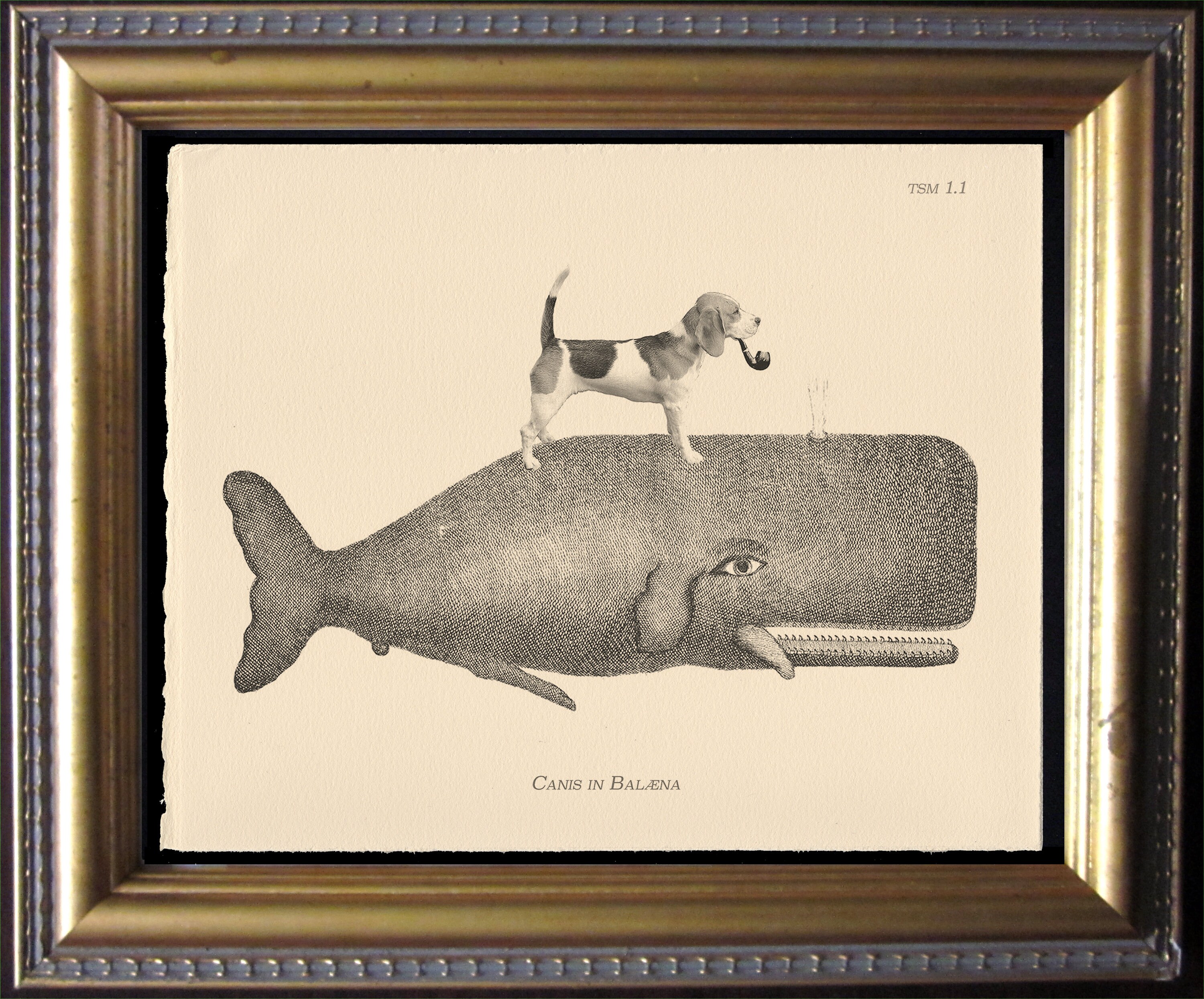 Beagle Riding Whale Vintage Collage Print dog art gifts for christmas gifts for dog lovers gifts for boyfriends whale gifts for dog loss