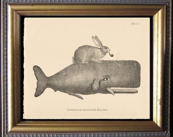 Bunny Rabbit Riding Whale Collage Print Creme Paper bunny art gift for bunny rabbit christmas gifts rainbow bridge gifts for bunny owners