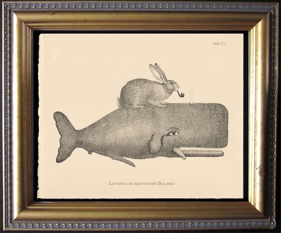 Bunny Rabbit Riding Whale Collage Print Creme Paper Bunny Art - Etsy