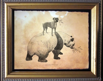 Boxer Dog Riding Panda Art Print, Whimsical Dog Wall Art