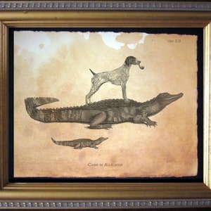 German Shorthaired Pointer GSP on Alligator Vintage Collage Print Tea Stained dog art dog gift for her gift for home office art