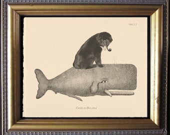 Newfoundland Dog on Whale – Vintage Collage Art Print on Creme Cotton Rag Paper | Quirky Dog Wall Decor