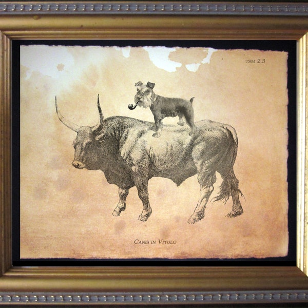 Mini Schnauzer Dog Riding Bull Vintage Collage Print tea stain dog art dog gifts for christmas gifts for dog owners gifts for boyfriends