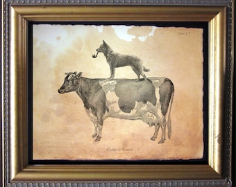 Australian Cattle Dog Riding Cow Vtg Collage Print Tea Stained dog art dog for her novelty gift for dog mom Christmas gift for dog owner