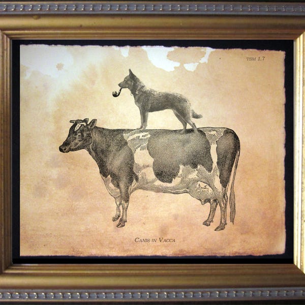 Australian Cattle Dog Riding Cow Art Print, Whimsical Dog Wall Decor
