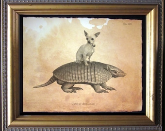 Chihuahua Riding Armadillo Fawn Chihuahua Vintage Collage Print Tea Stained dog art dog  for her novelty  for him pet art pet