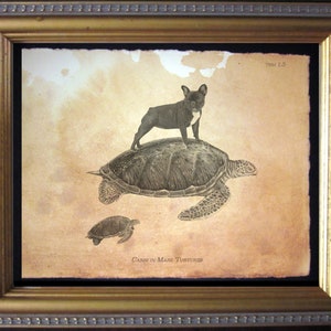 Black French Bulldog Riding Turtle Vintage Collage Print Tea Stain dog art gifts dog christmas gifts for dog mom dog loss gifts for him