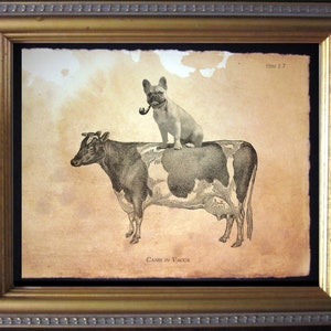 French Bulldog on Cow Vintage Collage Print Tea Stained dog art dog gift for her WFH art home office gift for gift for daddog christmas gift