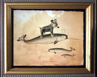 Mini Schnauzer Dog Riding Narwhal  Vintage Collage Art Print on Tea Stained Paper dog art dog    for her xmas  for momWFH office art