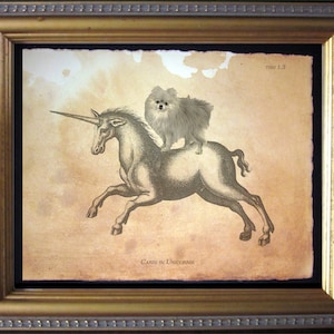 Pomeranian Dog Riding Unicorn Vintage Collage Print tea stain dog art dog gifts for christmas gifts for dog owners gifts for boyfriends
