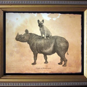 French Bulldog Riding Rhinoceros Vintage Collage Art Print on Tea Stained Paper dog art dog    for her   xmas  for momdog christmas gift