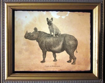 French Bulldog Riding Rhinoceros Vintage Collage Art Print on Tea Stained Paper dog art dog    for her   xmas  for momdog christmas gift