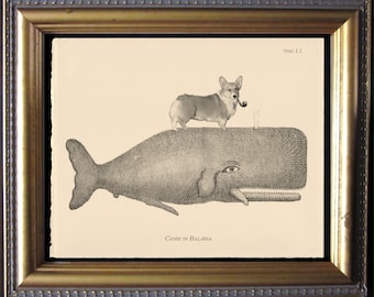 Corgi Riding Whale – Vintage Collage Art Print on Cotton Rag Paper | Whimsical Dog Art