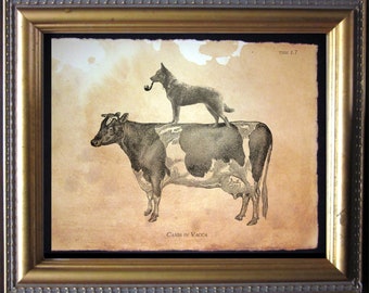 Blue Heeler Dog Riding Cow Art Print, Antique Style Dog Wall Decor