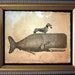 Dachshund Wiener Dog Smooth Dachshund on Whale Collage Print tea dog art dog gifts for christmas gifts for dog owners gifts for boyfriends 