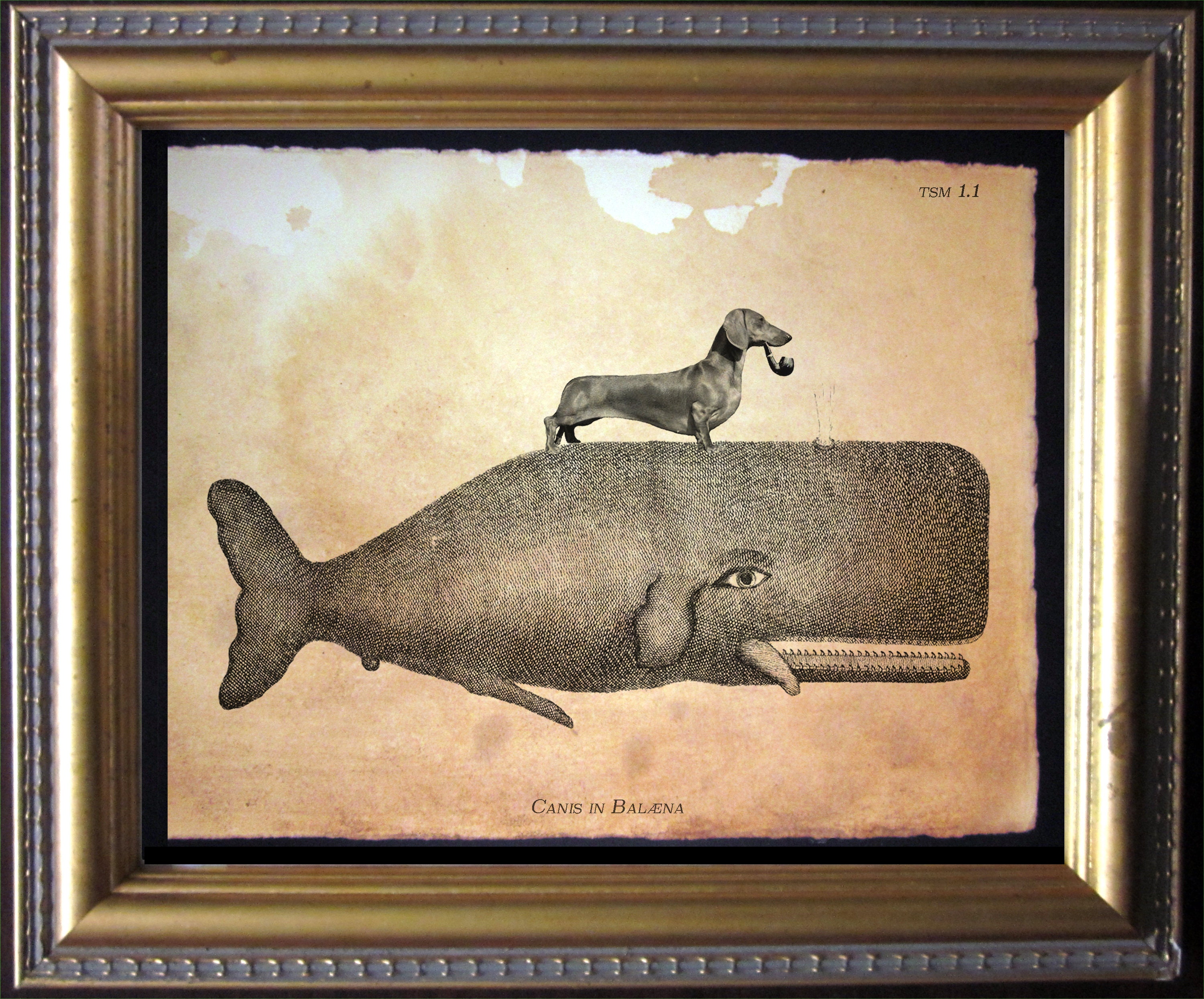 Dachshund Wiener Dog Smooth Dachshund on Whale Collage Print tea dog art dog gifts for christmas gifts for dog owners gifts for boyfriends
