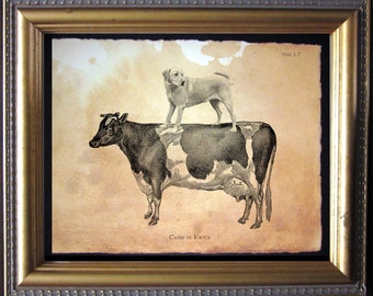 Labrador Retriever Yellow Lab Riding Cow Vintage Collage Print Tea Stained Paper dog art dog christmas gift for her pet loss gift for mom