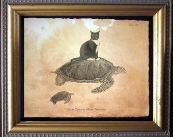 Tuxedo Cat Riding Turtle Art Print, Vintage Style Collage on Tea Stained Paper