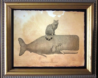 Wild Cat Riding Whale Felis Silvestris Cat Riding Whale – Vintage Style Collage Art Print on Tea-Stained Paper | Cat Lover Gift