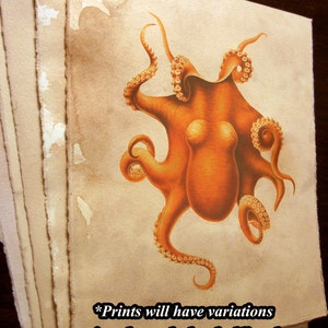 May include: A vintage illustration of an orange octopus with curled tentacles on a stack of aged paper with tea staining and hand tearing. *Prints will have variations in color and edge deckling due to tea staining and hand tearing.*