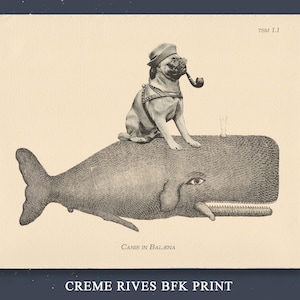 May include: A vintage-style print features a pug wearing a sailor hat and smoking a pipe, perched atop a whale. The artwork is in black and white, with the text "CANIS IN BALENA" and "CREME RIVES BFK PRINT" at the bottom.