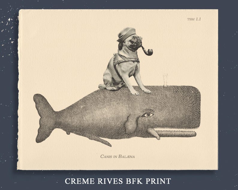 May include: A vintage-style print features a pug wearing a sailor hat and smoking a pipe, perched atop a whale. The artwork is in black and white, with the text "CANIS IN BALENA" and "CREME RIVES BFK PRINT" at the bottom.