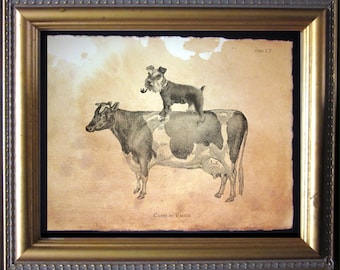 Mini Schnauzer Riding Cow Art Print, Whimsical Dog Wall Art