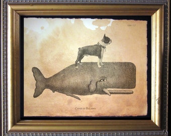 Boston Terrier Riding Whale Vintage Collage Print Tea Stain dog art gifts for her dog rainbow bridge gifts for dog mom dog christmas gifts