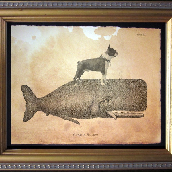 Boston Terrier Riding Whale – Vintage Collage Art Print on Tea-Stained Cotton Rag Paper | Dog Lover Wall Art