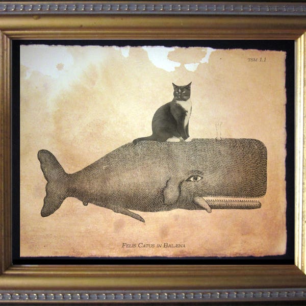 Tuxedo Cat Riding Whale Vintage Collage Print Tea Stain Paper cat art gifts for cat mom cat Christmas gifts for cat dad cat loss gifts