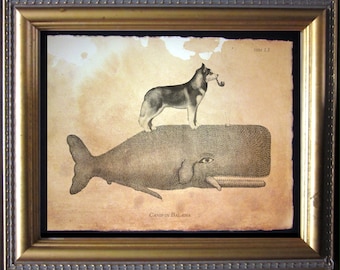 Siberian Husky Riding Whale – Vintage Collage Art Print on Tea-Stained Cotton Rag Paper | Whimsical Dog Lover Gift