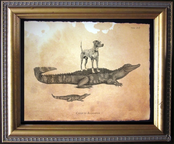 Catahoula Leopard Dog Wall Art Dog Christmas Gift for Dog Anniversary Gift Housewarming Gift Dog Birthday Gift for Dog Mom Dog Memorial Gift