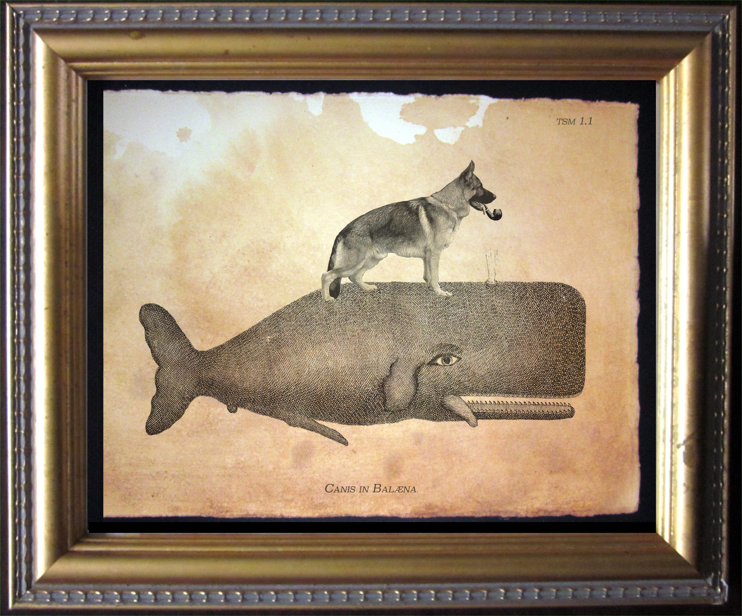 German Shepherd Dog Riding Whale – Vintage Collage Art Print on