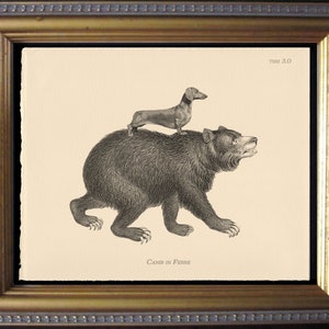 Dachshund Riding Bear Vintage Collage Print dog art gift dog christmas gift for dog lovers gifts for boyfriends whale gifts for dog loss