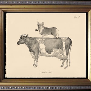 Corgi Riding Cow Vintage Collage Print dog art gift dog christmas gift for dog lovers gifts for boyfriends pet loss gifts for dog loss