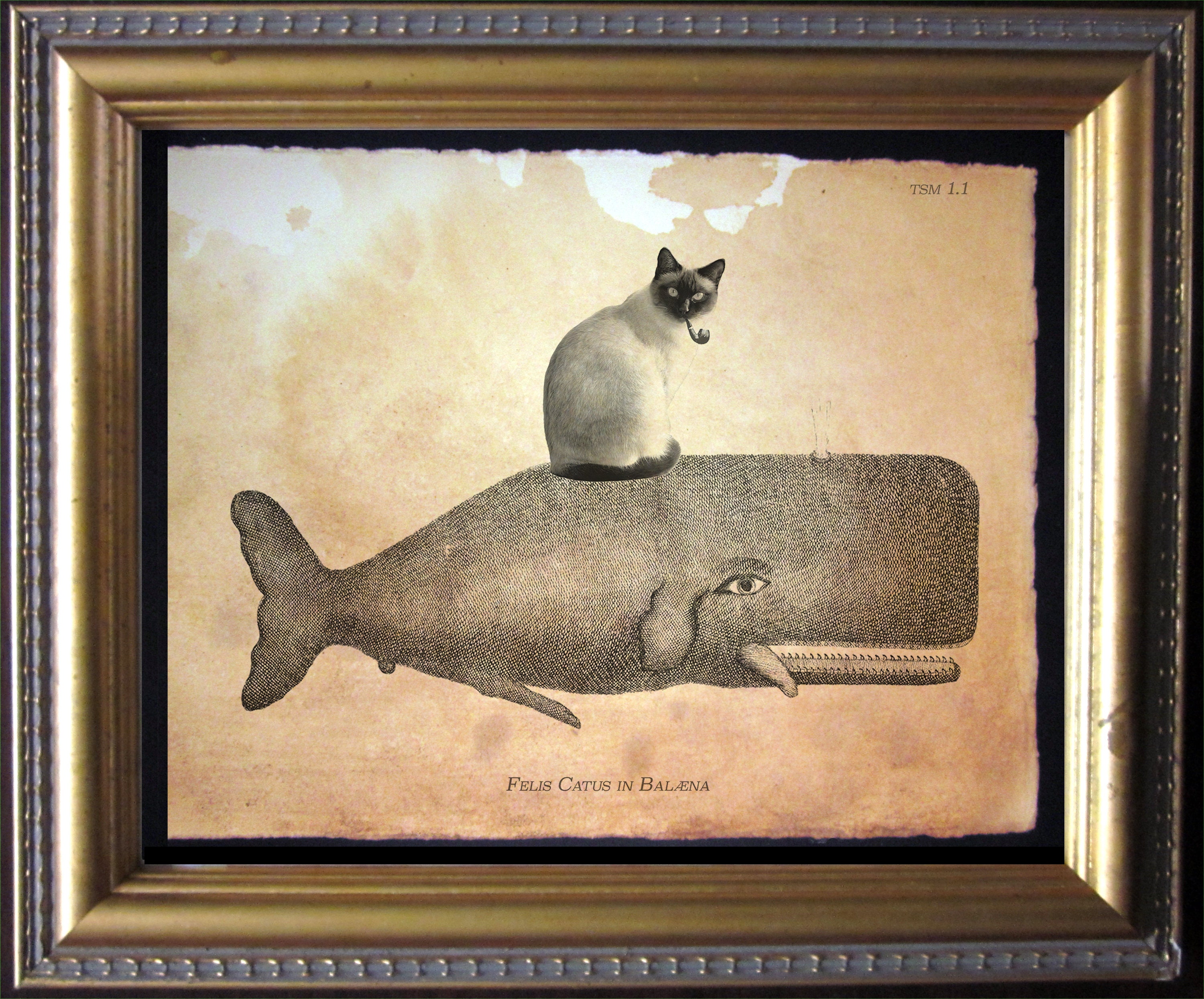 Siamese Cat Riding Whale Vintage Collage Print tea stain cat art gifts for cat christmas gifts for cat mom gifts for boyfriends whale gifts